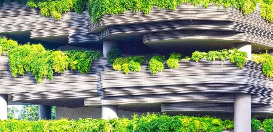Energy & Sustainability