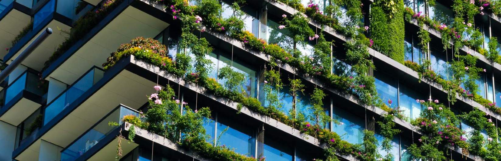 Savills Sustainability